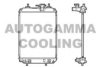 AUTOGAMMA 105562 Radiator, engine cooling